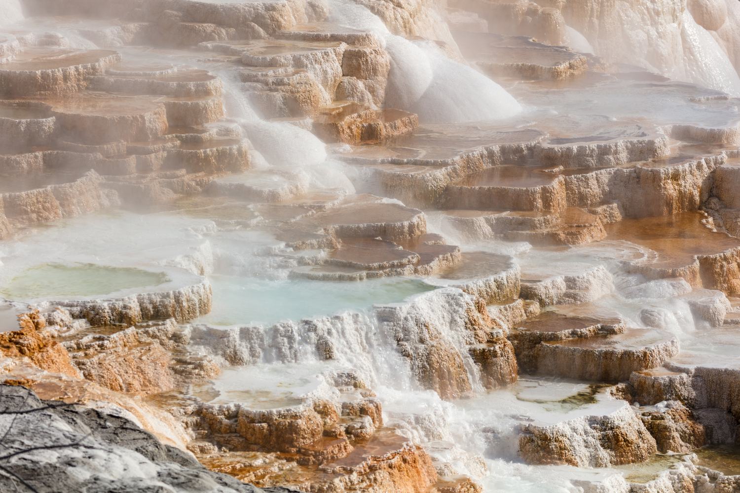 Cream and rust coloured travertine terraces of Canary Spring holding shallow pools of blue water.